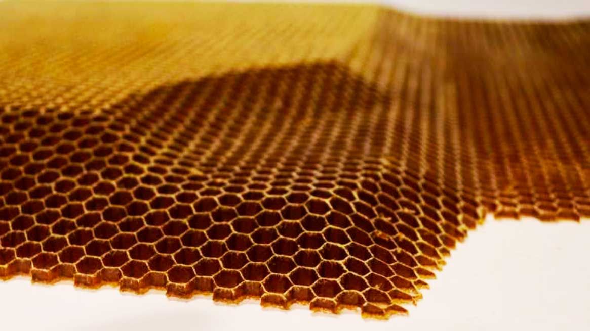 Núcleos de panal de abeja